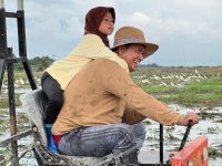 Berlibur Di Sawah Menjadi Petani Sangat Nikmat